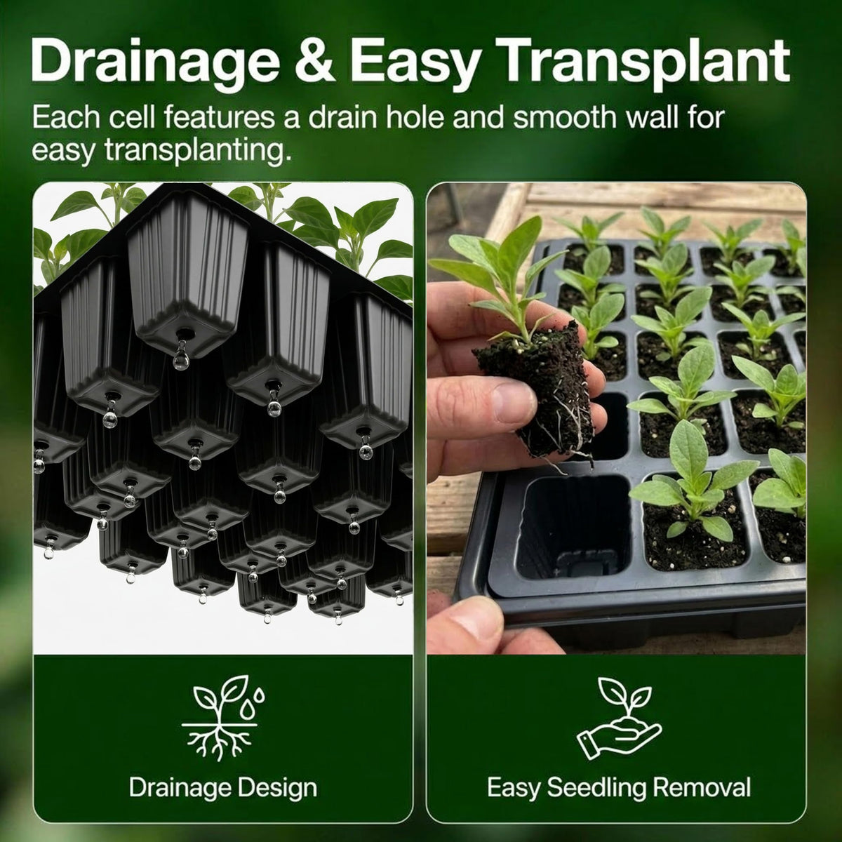 Gardzen seed starter tray with drainage holes prevents overwatering