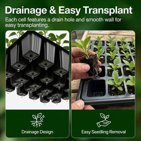 Gardzen seed starter tray with drainage holes prevents overwatering