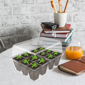Gardzen seed starter tray supports easy transplant readiness