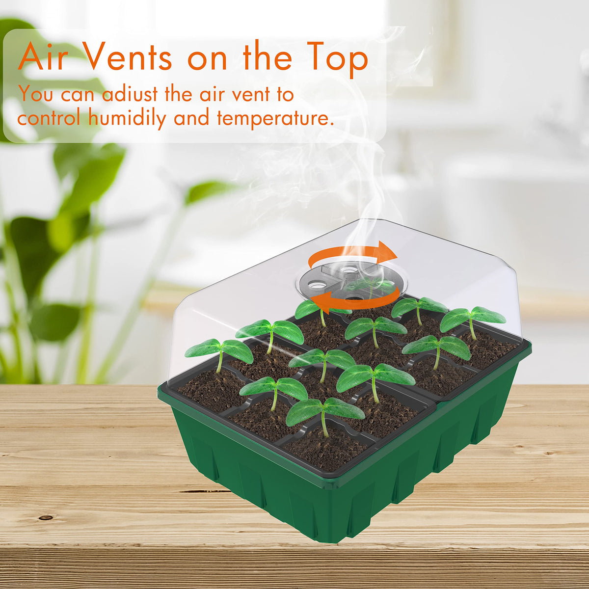 Gardzen seed tray with drain hole helps prevent overwatering during sprouting.