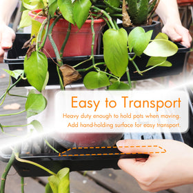 Gardzen 15.7 by 11.6 inch seed tray with handheld design for easy transport.