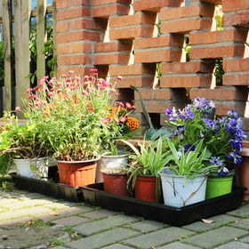 Gardzen seed trays showing dimensions 17.3 by 13 inches for seed starting