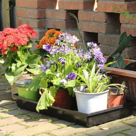 Gardzen seed trays ideal for microgreens in indoor gardens or greenhouses.