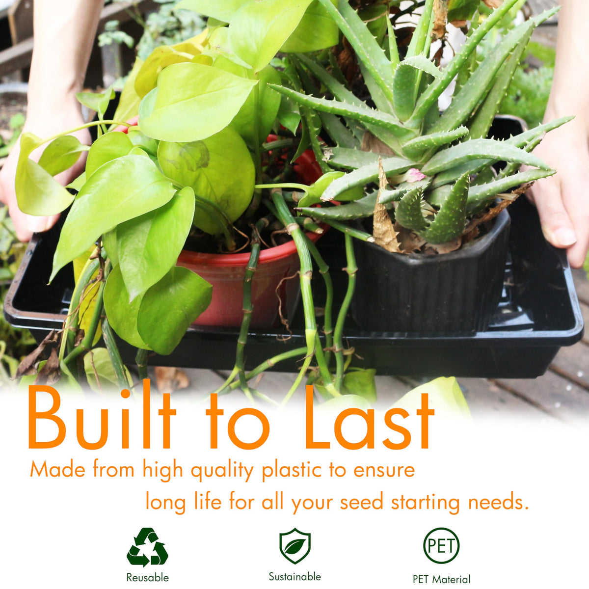Gardzen no-drain-holes seed trays keep spills contained and work well indoors.