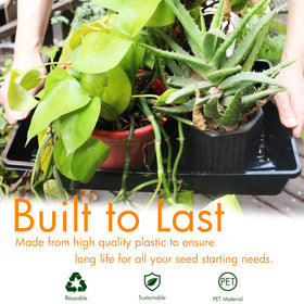 Gardzen no-drain-holes seed trays keep spills contained and work well indoors.