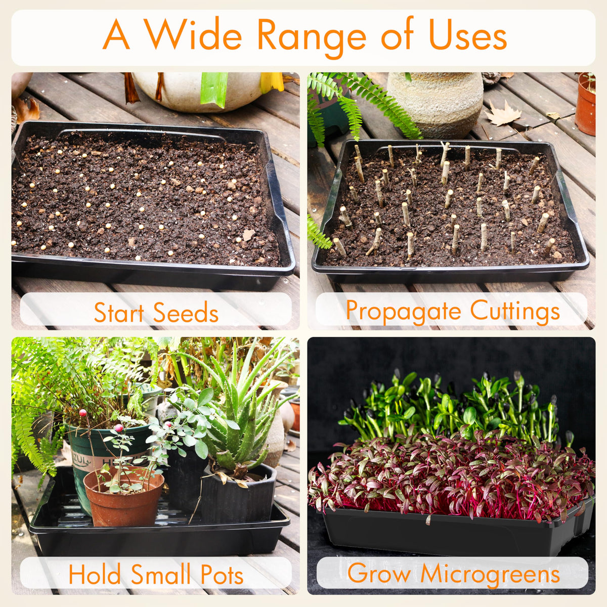 Gardzen seed trays promote organized sprouting and clean work surfaces.