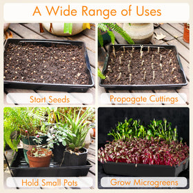 Gardzen seed trays promote organized sprouting and clean work surfaces.