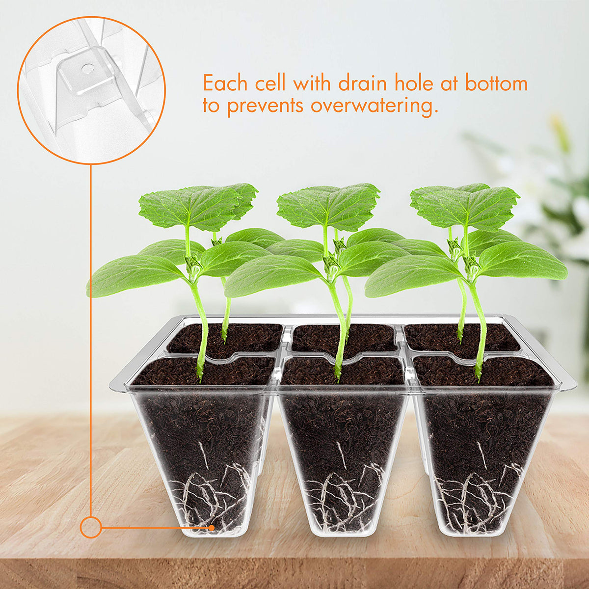 Transparent Gardzen seedling tray enables quick observation of root development and health.