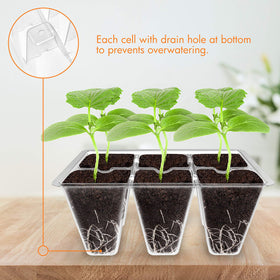 Transparent Gardzen seedling tray enables quick observation of root development and health.