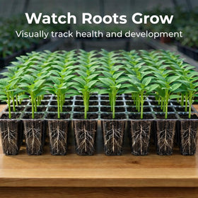 Gardzen transparent BPA-free seed cell lets you monitor root growth.