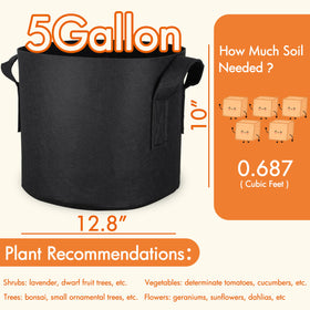 Gardzen vegetable growing on patio using 5-gallon fabric pots.