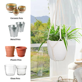 Garini indoor/outdoor compatible hanger for versatile garden or living space.