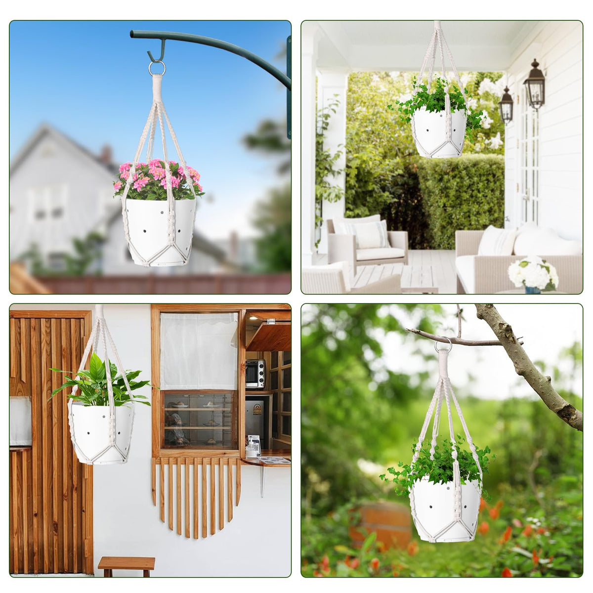 garini window corner greenery decor hanger brightens small spaces.