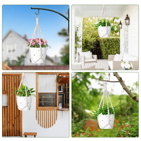 garini window corner greenery decor hanger brightens small spaces.