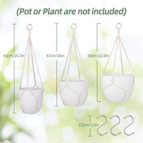 Garini modern boho hanger elevates décor with simple, stylish plant display.