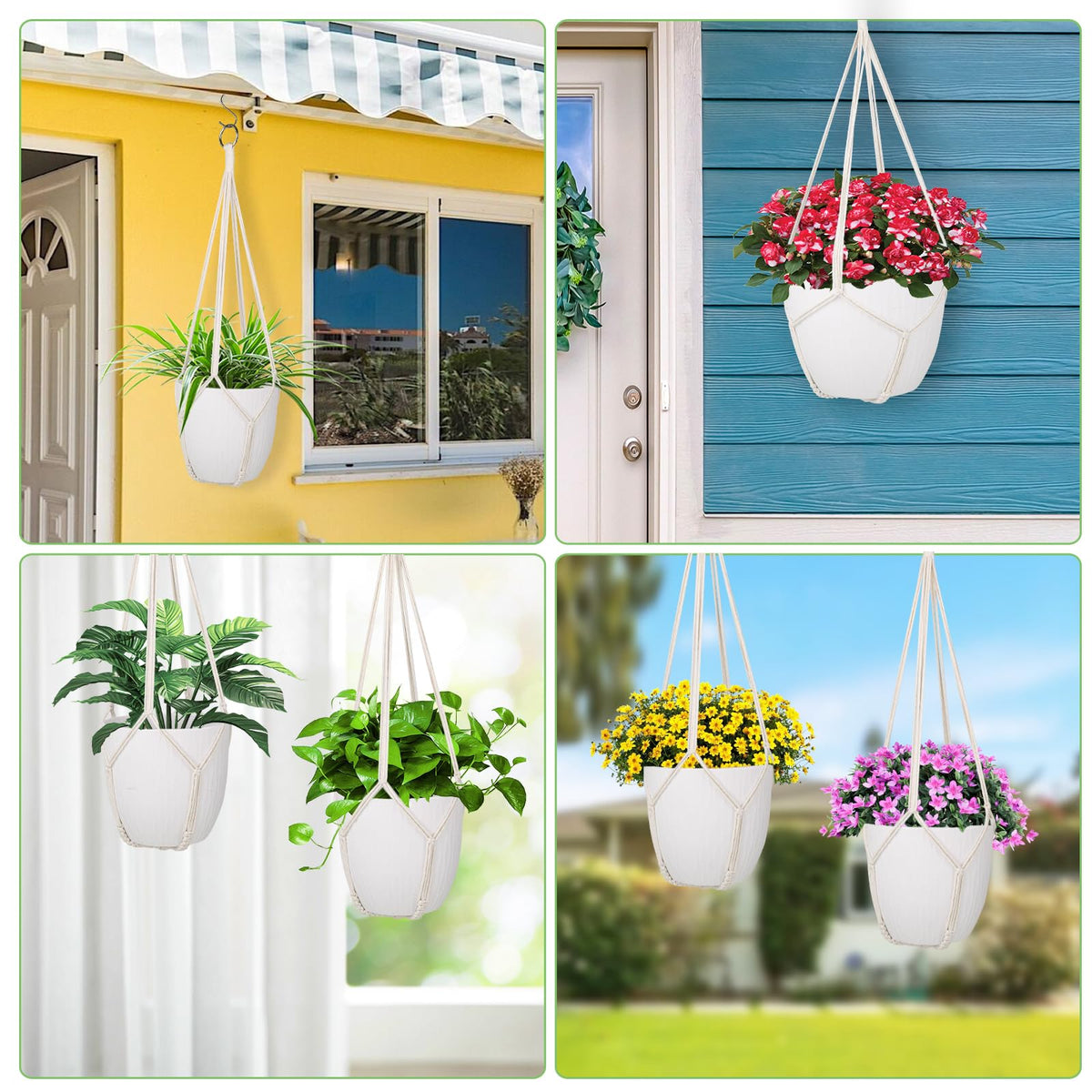 Garini three-hook design supports multiple plants, creating layered greenery.