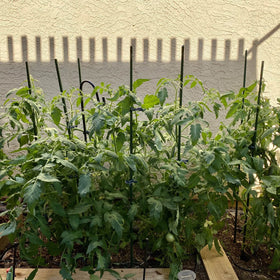 Garmeinea 25-pack plant stakes support cucumbers, peppers, grapes and other climbers.