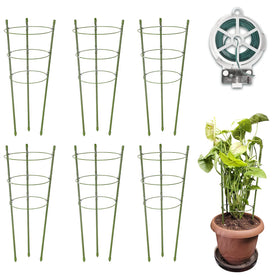 Garmeinea plant-support cages provide upright support for small tomato plants.