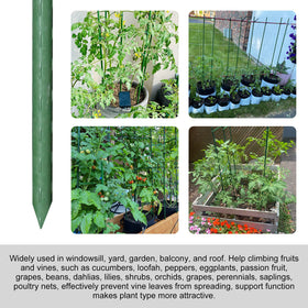 Rustproof plastic coating on Garmeinea stake enhances durability for outdoor use.
