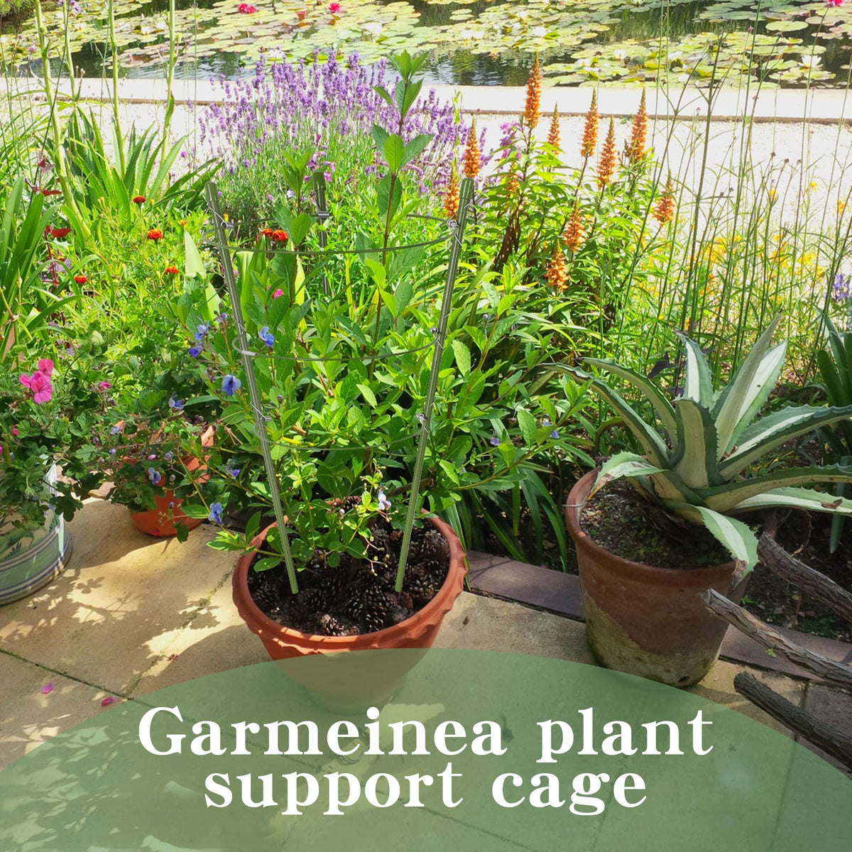 Six-pack of 18-inch cages ideal for container gardens.