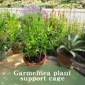 Six-pack of 18-inch cages ideal for container gardens.