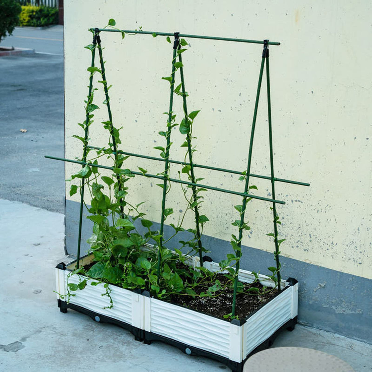 Garmeinea stakes for installation demonstration showing plant support and non-slip surface.