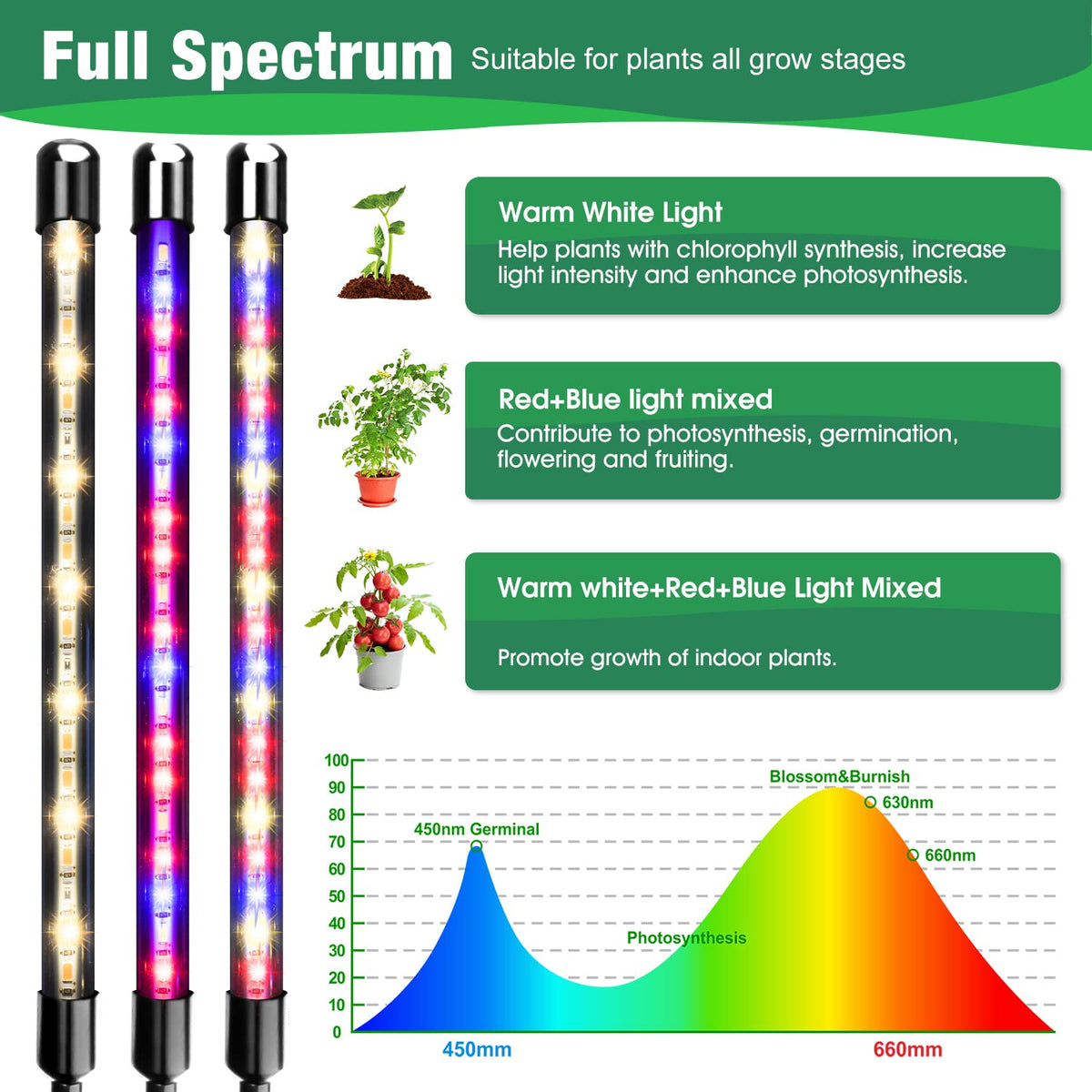 Close-up of Garpsen 40 LEDs showing red blue spectrum for seedling health