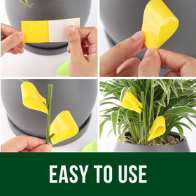 Garsum 21 Traps ideal for potted plants and balconies