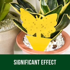 Garsum eco-friendly, odorless pest control for home or organic farms.