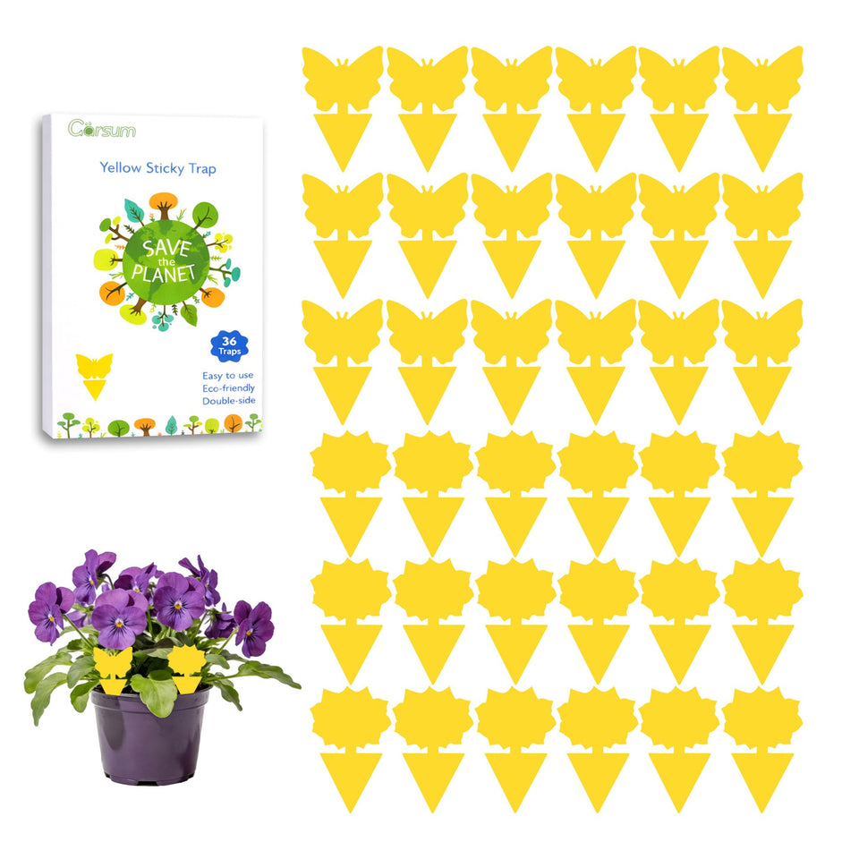 Garsum fruit fly sticky trap on yellow surface attracts and captures pests indoors.
