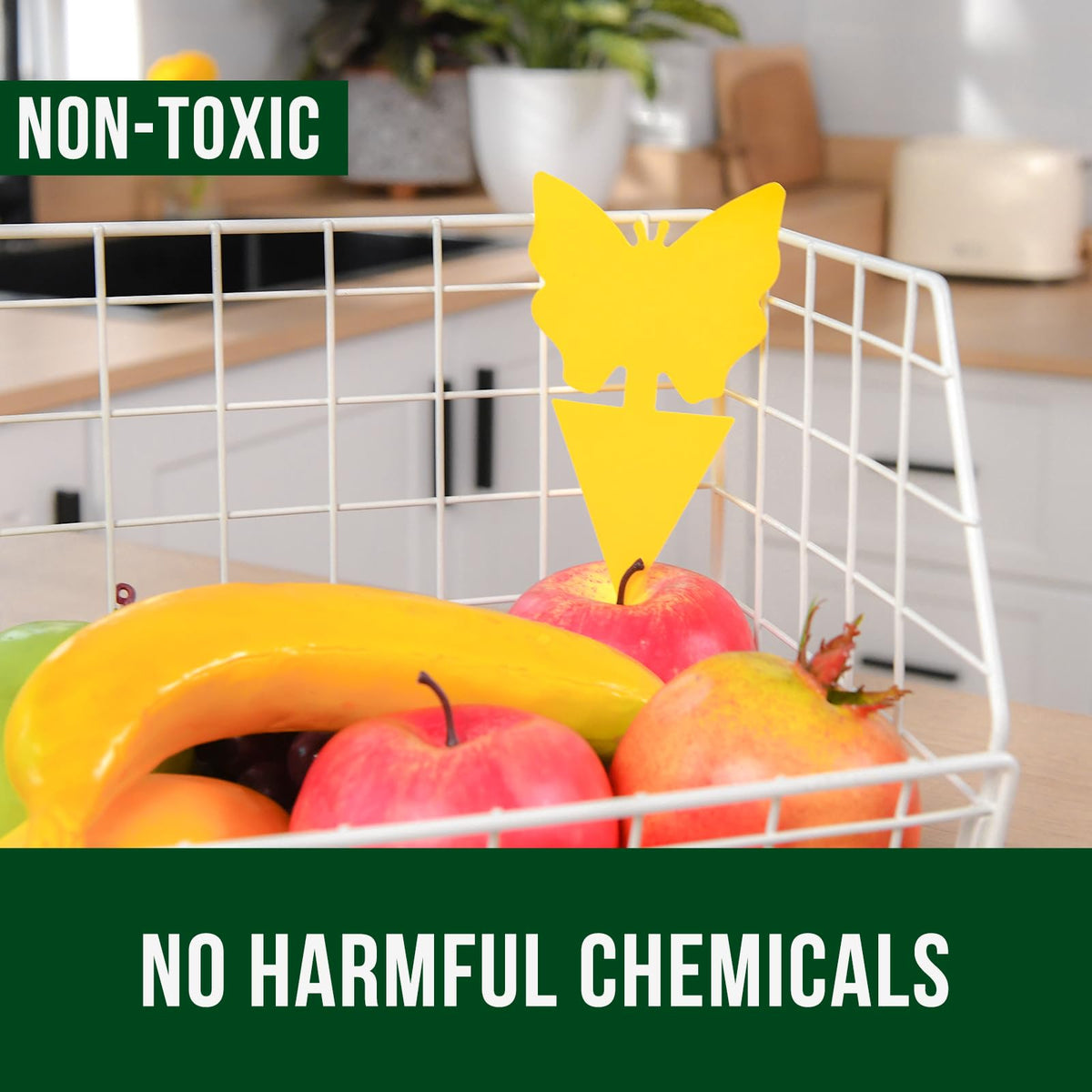 Garsum indoor houseplant trap setup for easy pest management.