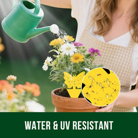 Garsum outdoor sticky trap protecting potted plants from garden pests.