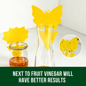 Garsum yellow sticky trap targets fungus gnats on pots