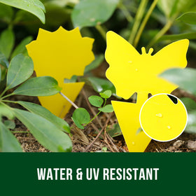 Garsum yellow sticky trap catches whiteflies around plants