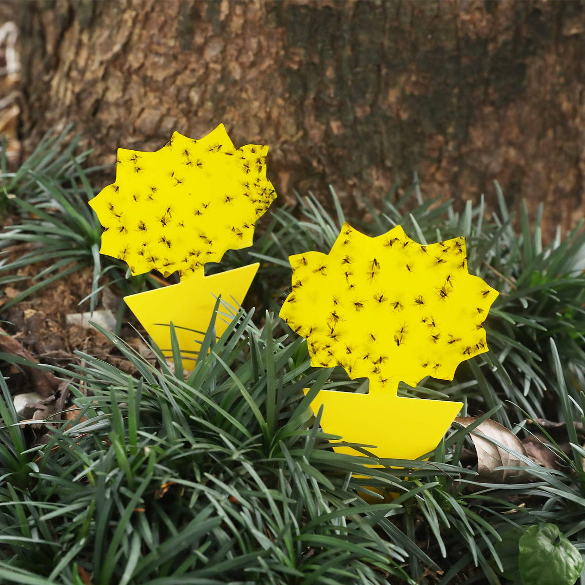 Garsum kitten shape yellow trap attracts pests to protect small potted plants