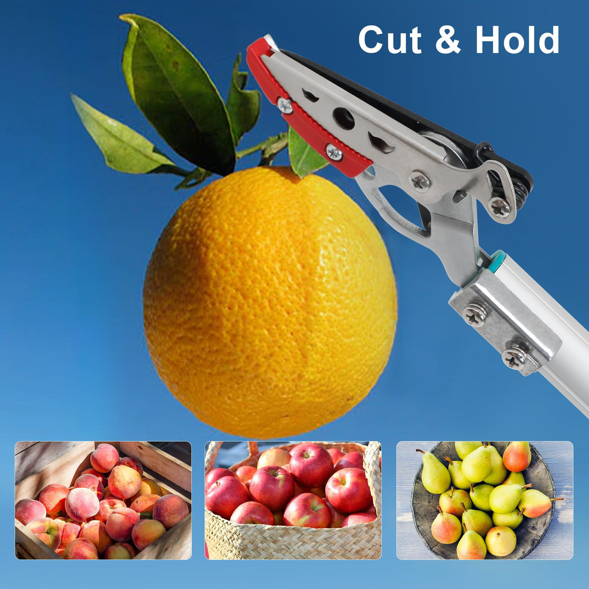 GARTOL ergonomic rubber grip reduces fatigue during extended pruning sessions.