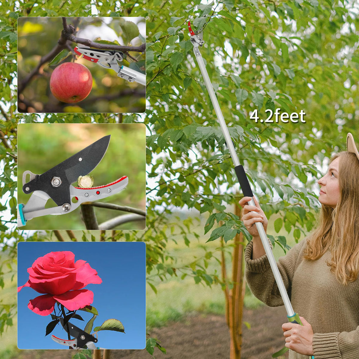 GARTOL long-reach pruner reaches 51 inches for tall pruning from the ground.