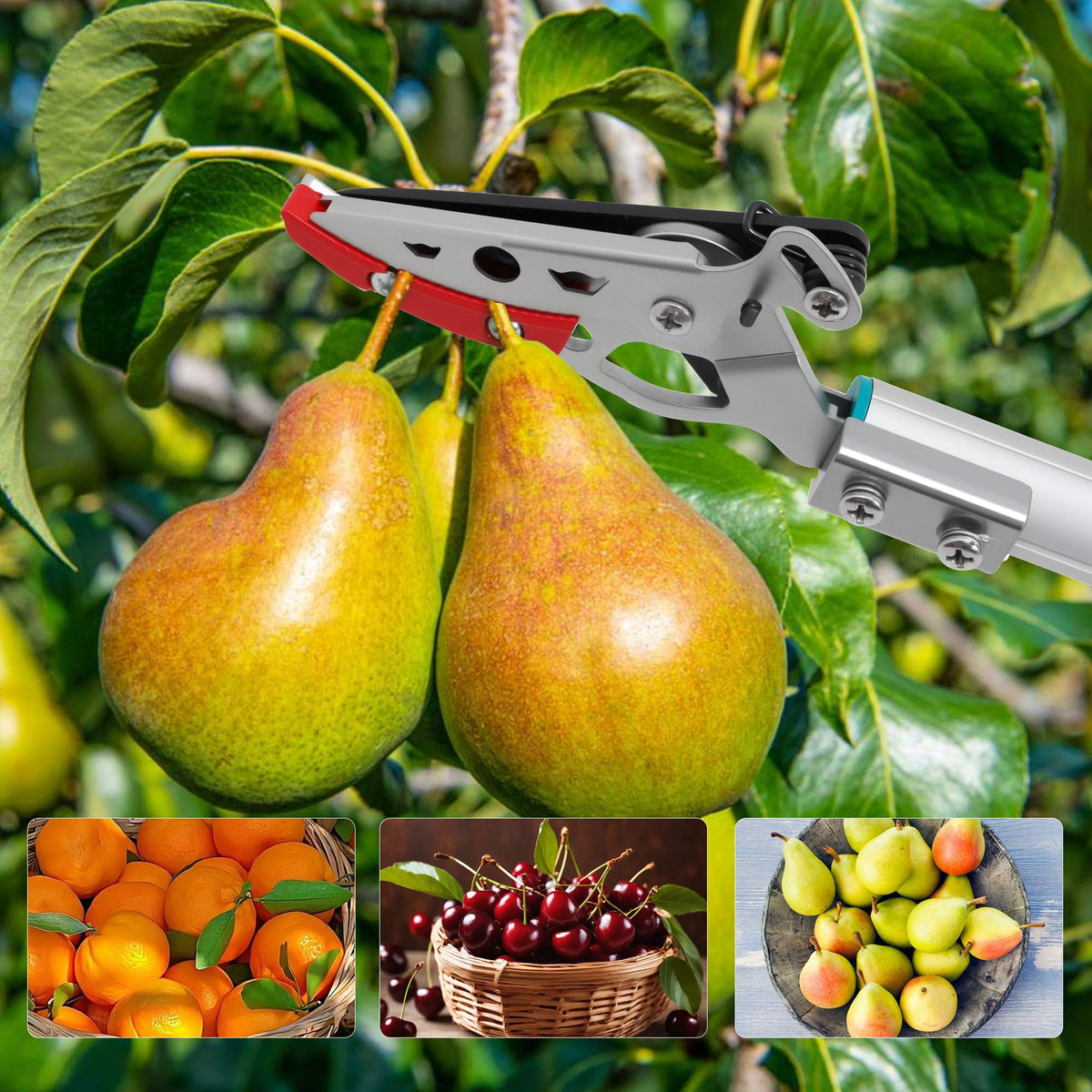 Ergonomic design supports comfortable one-handed operation
