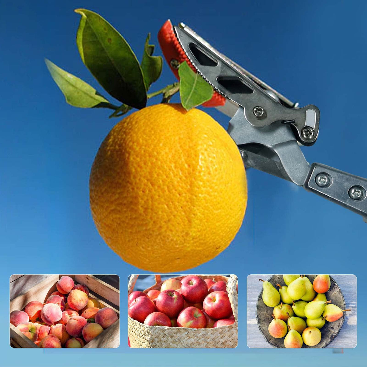 GARTOL safety lock keeps the pruner secure when stored.