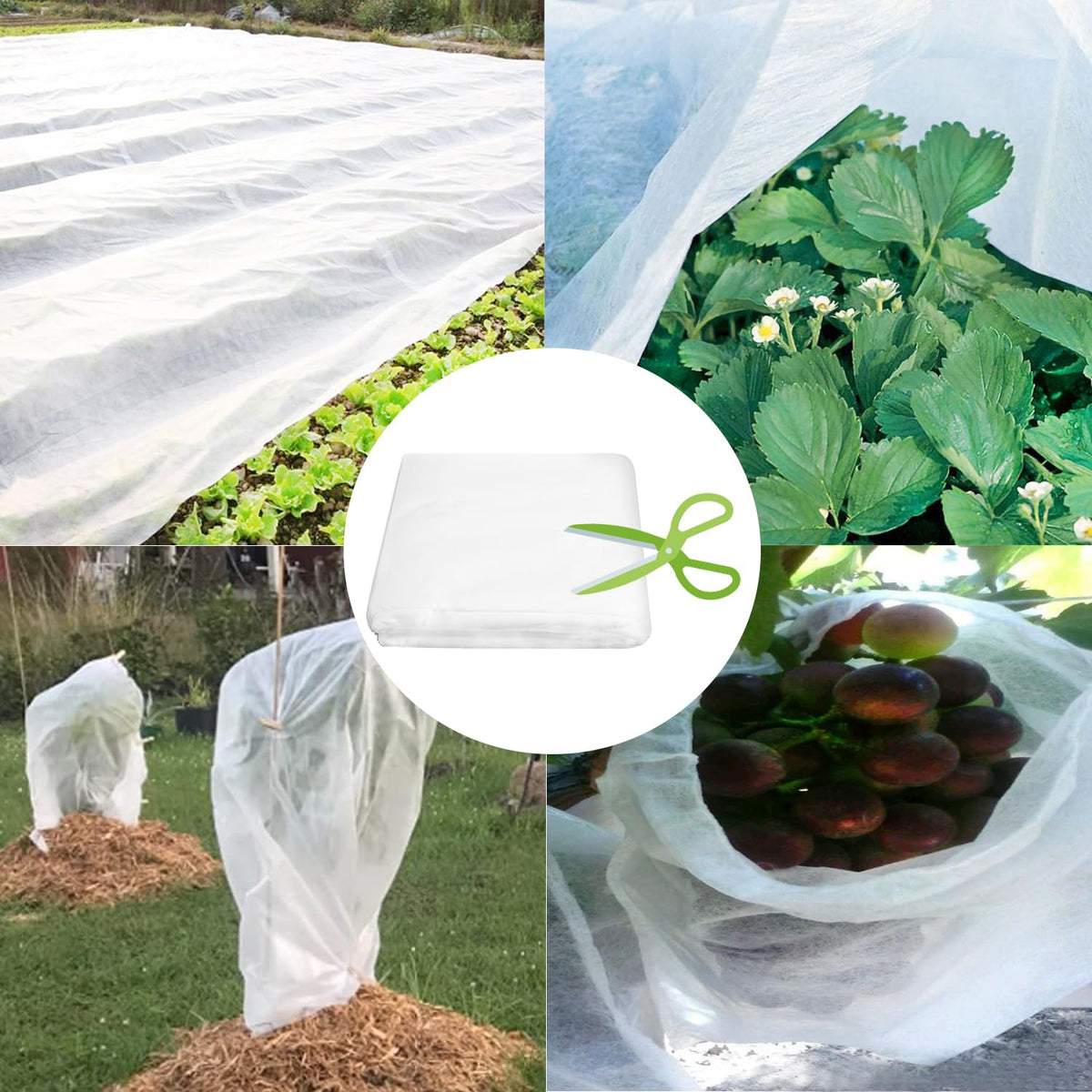 Garutom frost cloth protecting fruit trees and shrubs during chill nights.