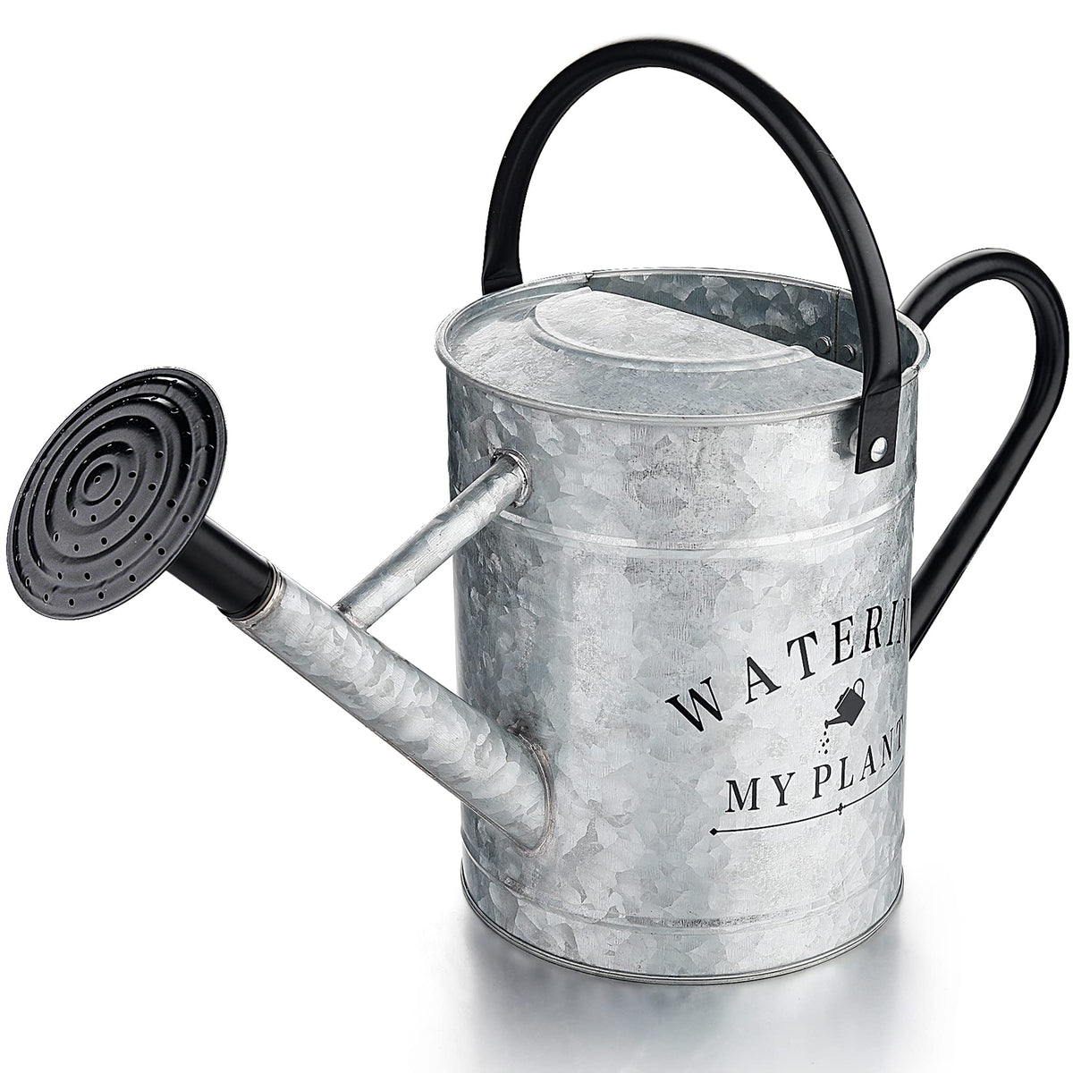 Garutom galvanized watering can 1 gallon for indoor and outdoor plants.