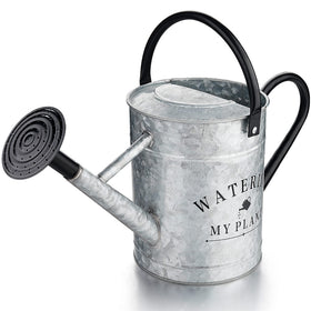 Garutom galvanized watering can 1 gallon for indoor and outdoor plants.