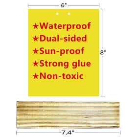 Garutom closeup of yellow adhesive trap catching pests