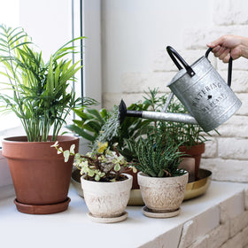 Garutom watering can with removable spout for precise watering.