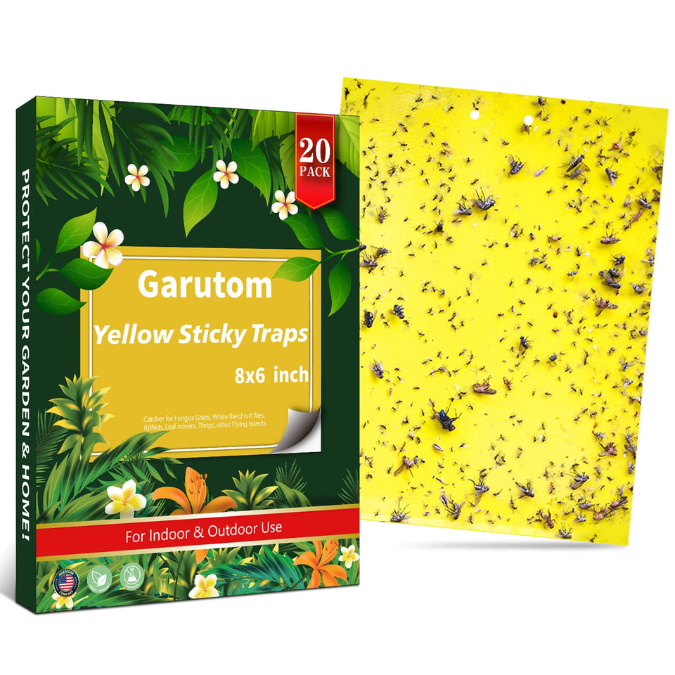 Garutom yellow sticky trap 6x8 pack attracting flying insects for indoor and outdoor plants