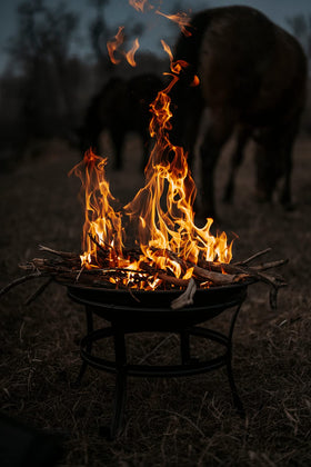Gas One beachside fire pit used during family gatherings.