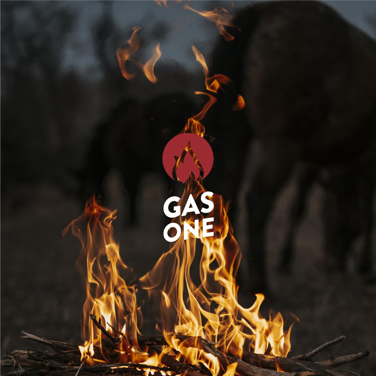 Gas One rust-resistant coating protects exterior in any weather.