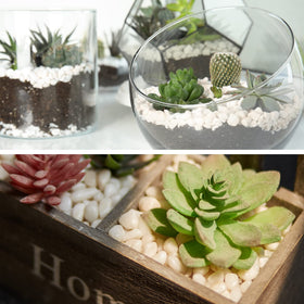 GasPro bamboo planter decor rocks add natural shine and contrast.