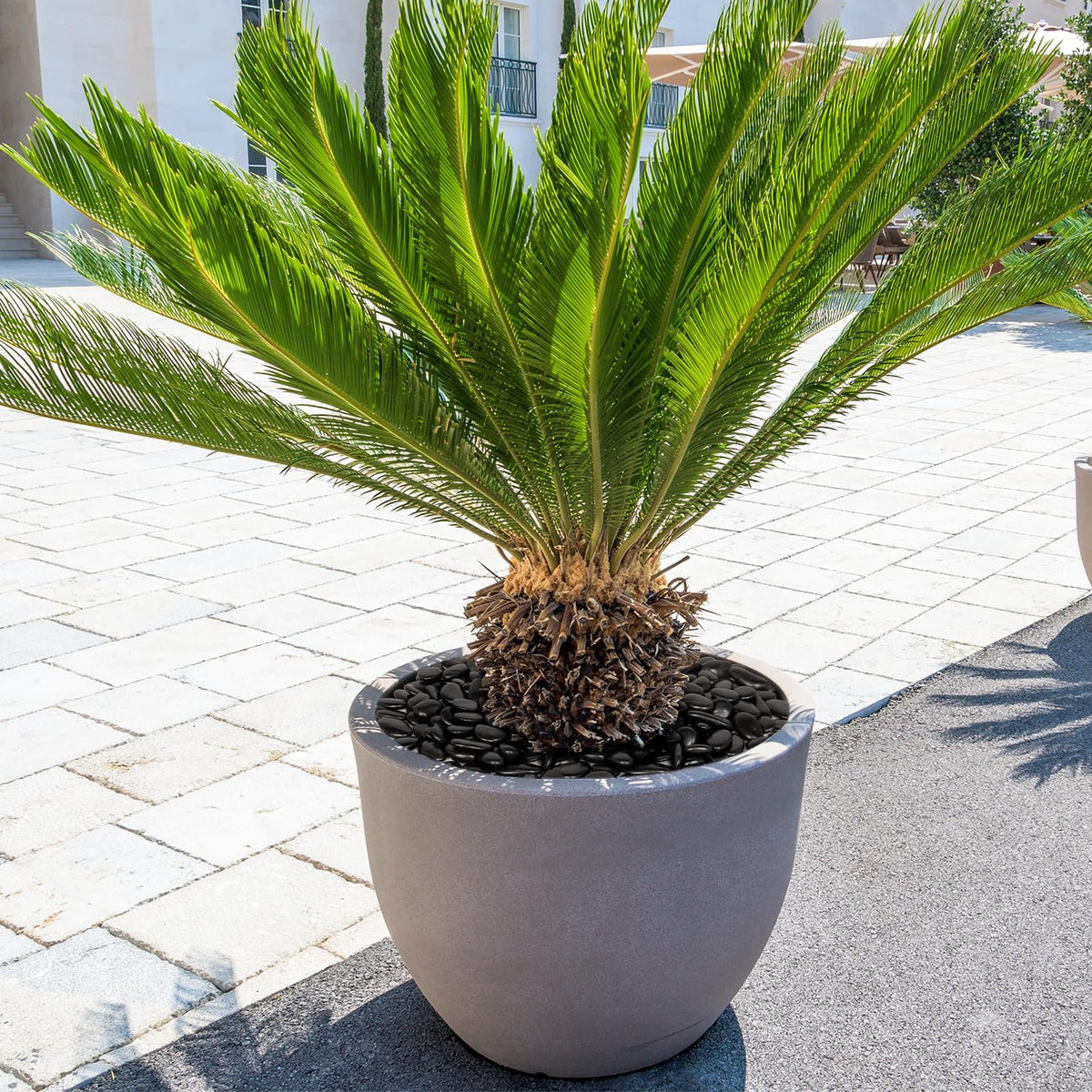 GASPRO garden decor pebbles displayed as decorative accents in shelves and tables.