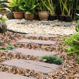 GASPRO decorative river rocks provide varied tones for mixed plant displays.